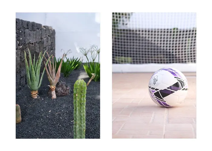 Aurelia Paradise فيلة *